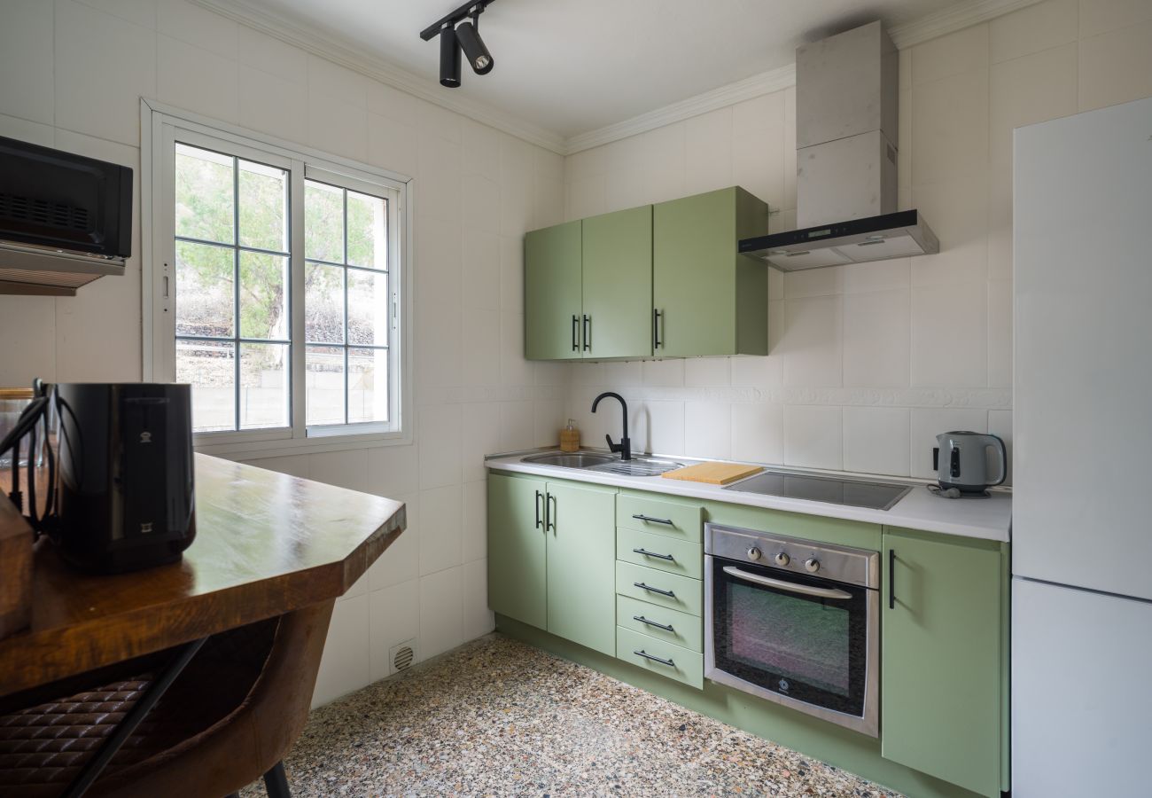Apartment in Teror - Samar 2