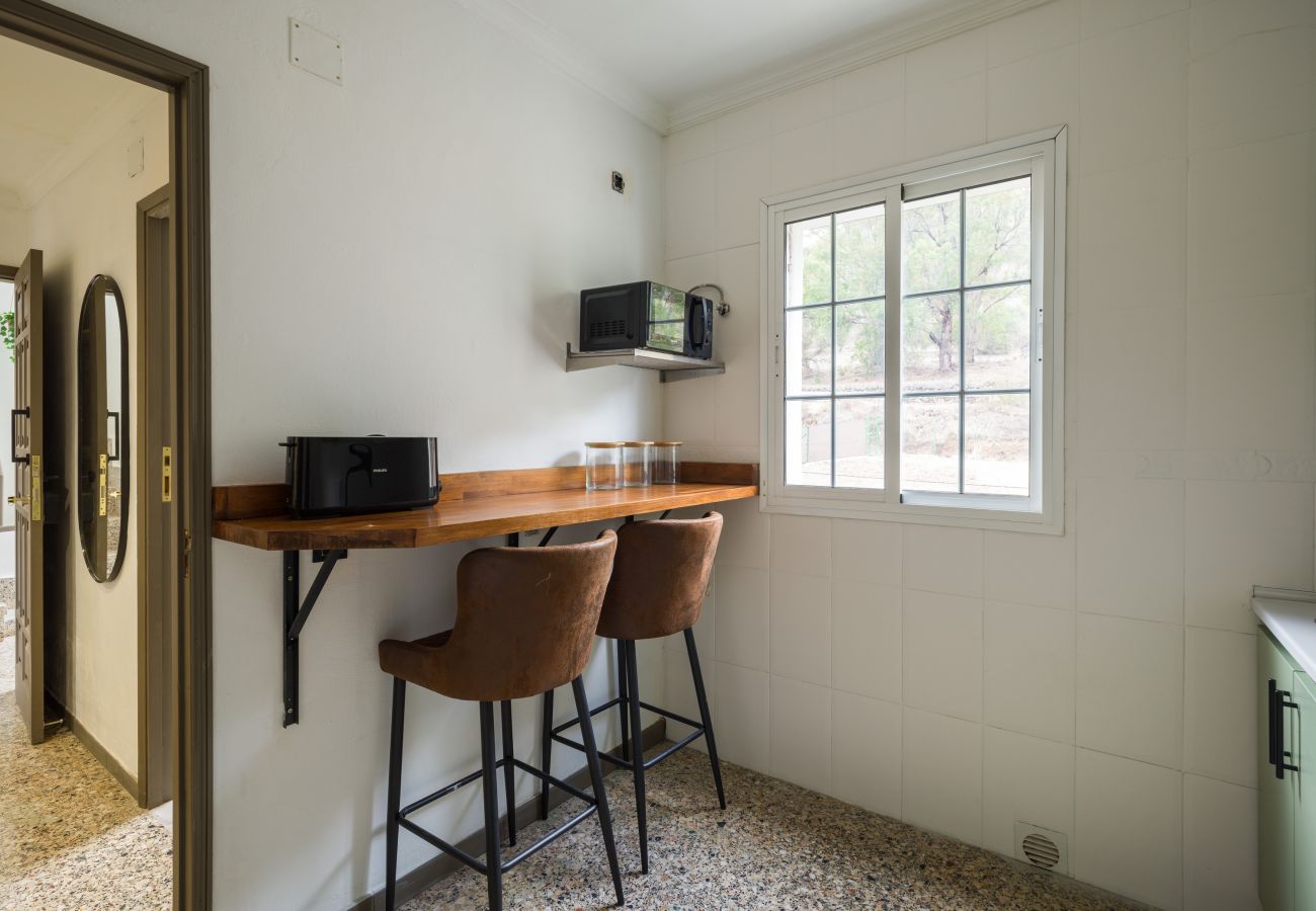 Apartment in Teror - Samar 2